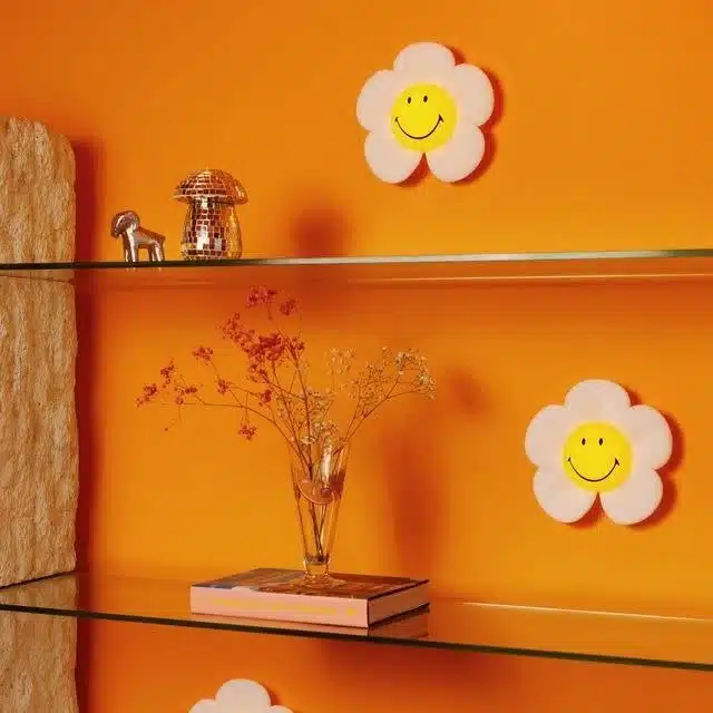 Smiley Daisy Day Light