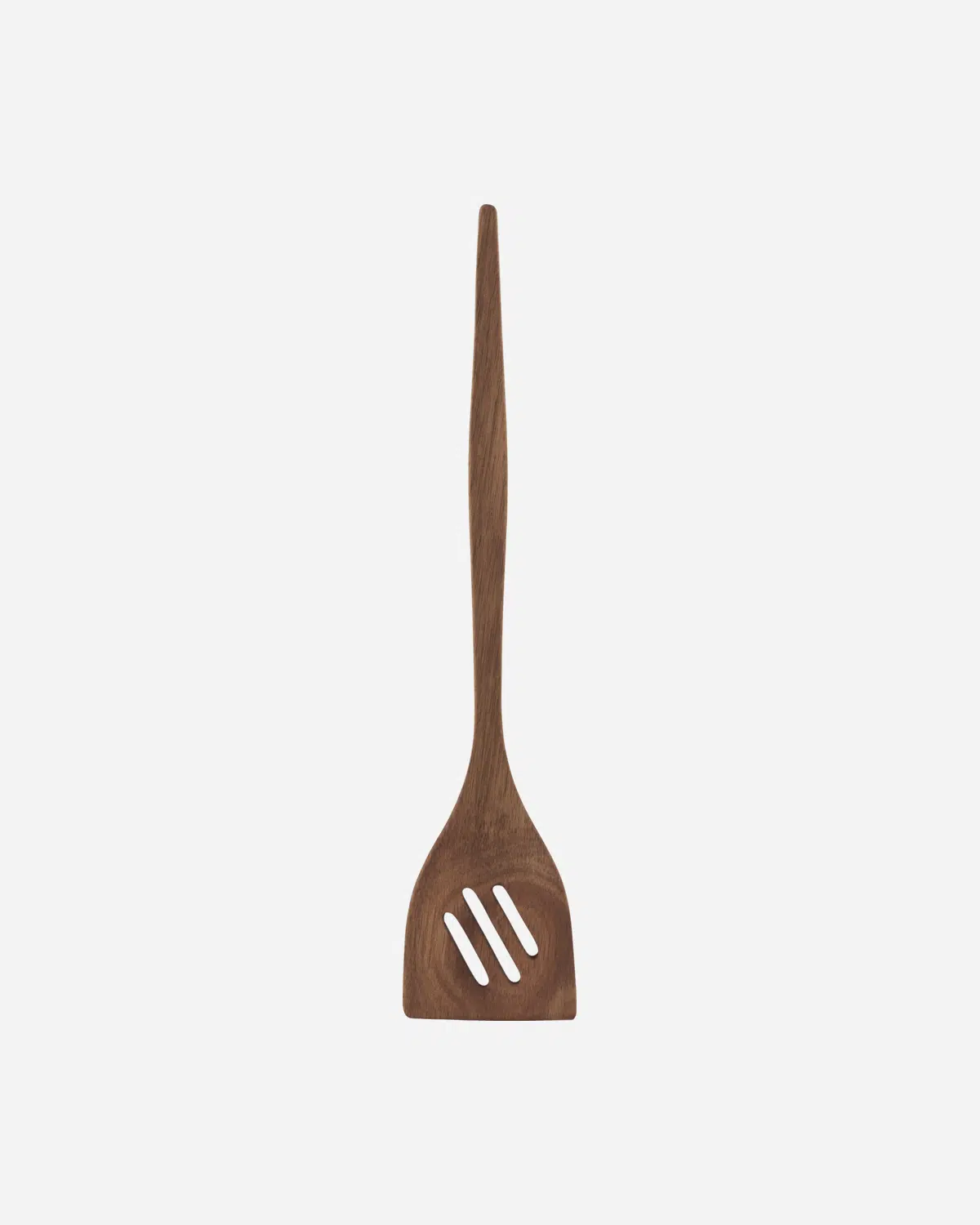 Spatula - Nature