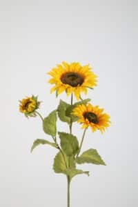Sunflower x3 89cm
