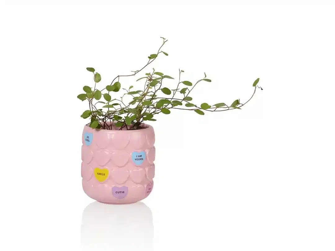 Sweet Heart Cup Pink
