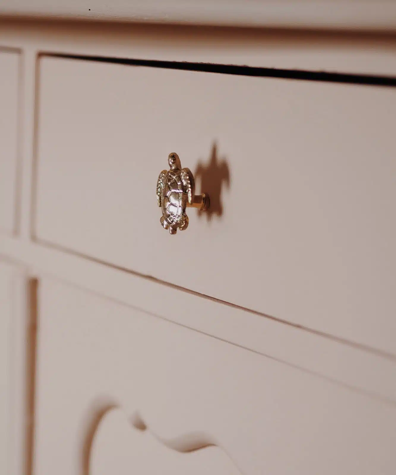 Tommy Turtle Knob
