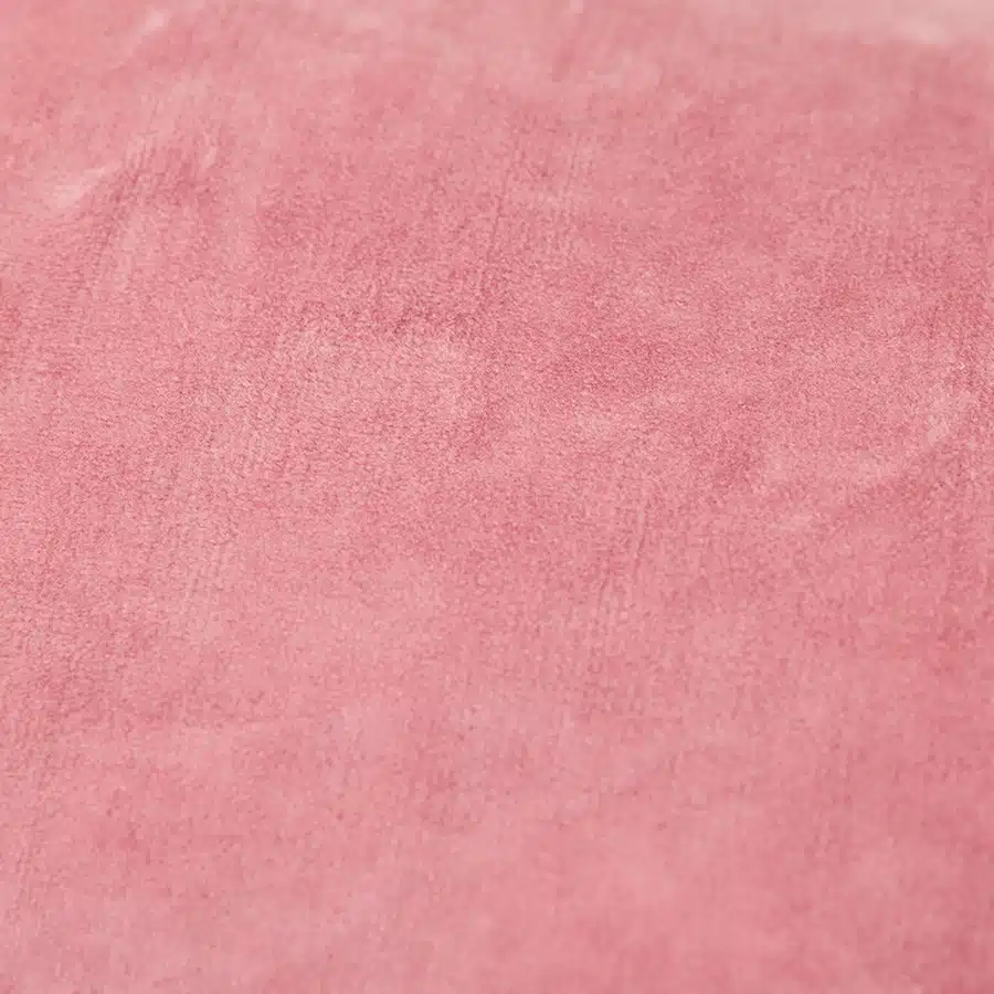 Velvet cushion rose