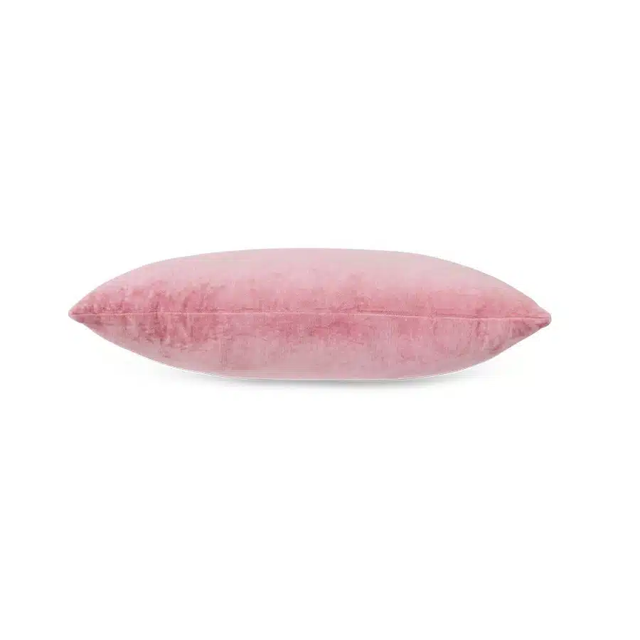 Velvet cushion rose