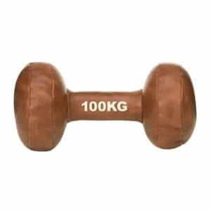 Vintage Dumbbell
