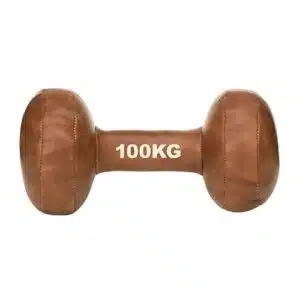 Vintage Dumbbell