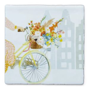 Vrolijkheid in een Fietsmand 10x10