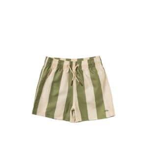 Wide Stripe | Swim Shorts | Iguana