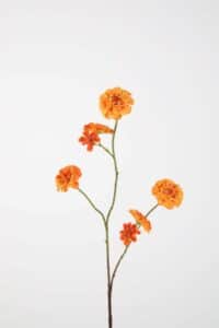 Zinnia Spray 88cm