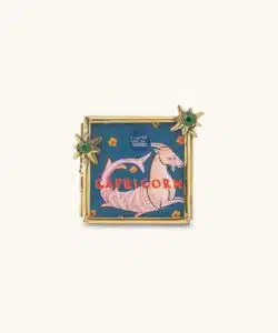 Zodiac Capricorn Frame Mini