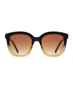 Zonnebril Billy - Black/Brown Transparent