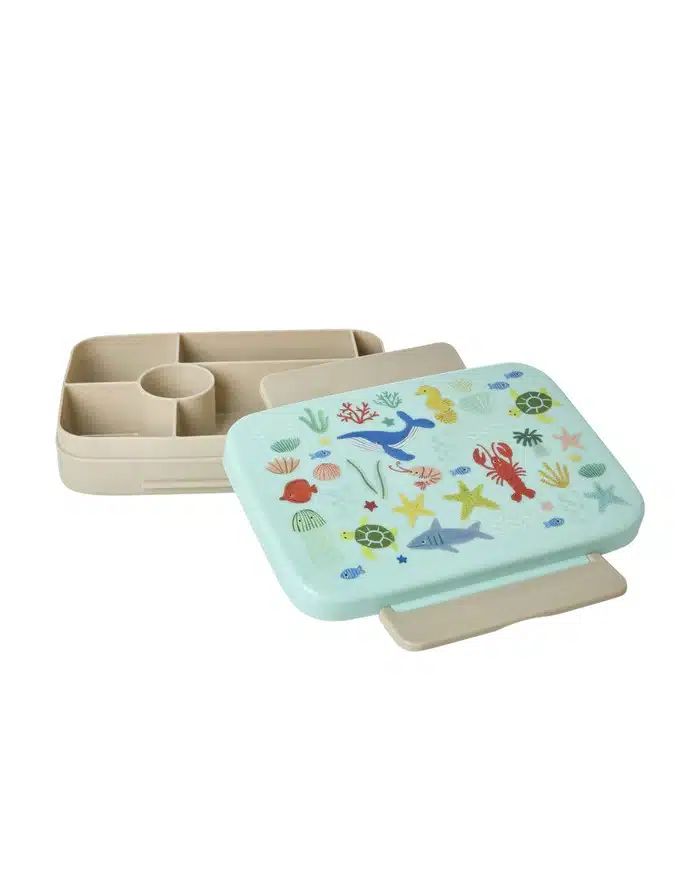 Lunchbox with 6 Rooms - Blue Ocean