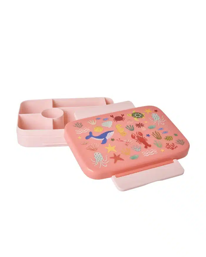 Lunchbox with 6 Rooms - Coral Ocean