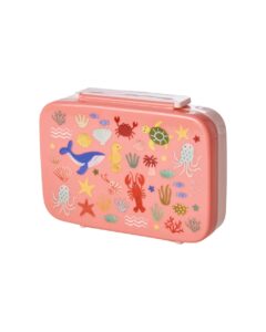 Lunchbox with 6 Rooms - Coral Ocean