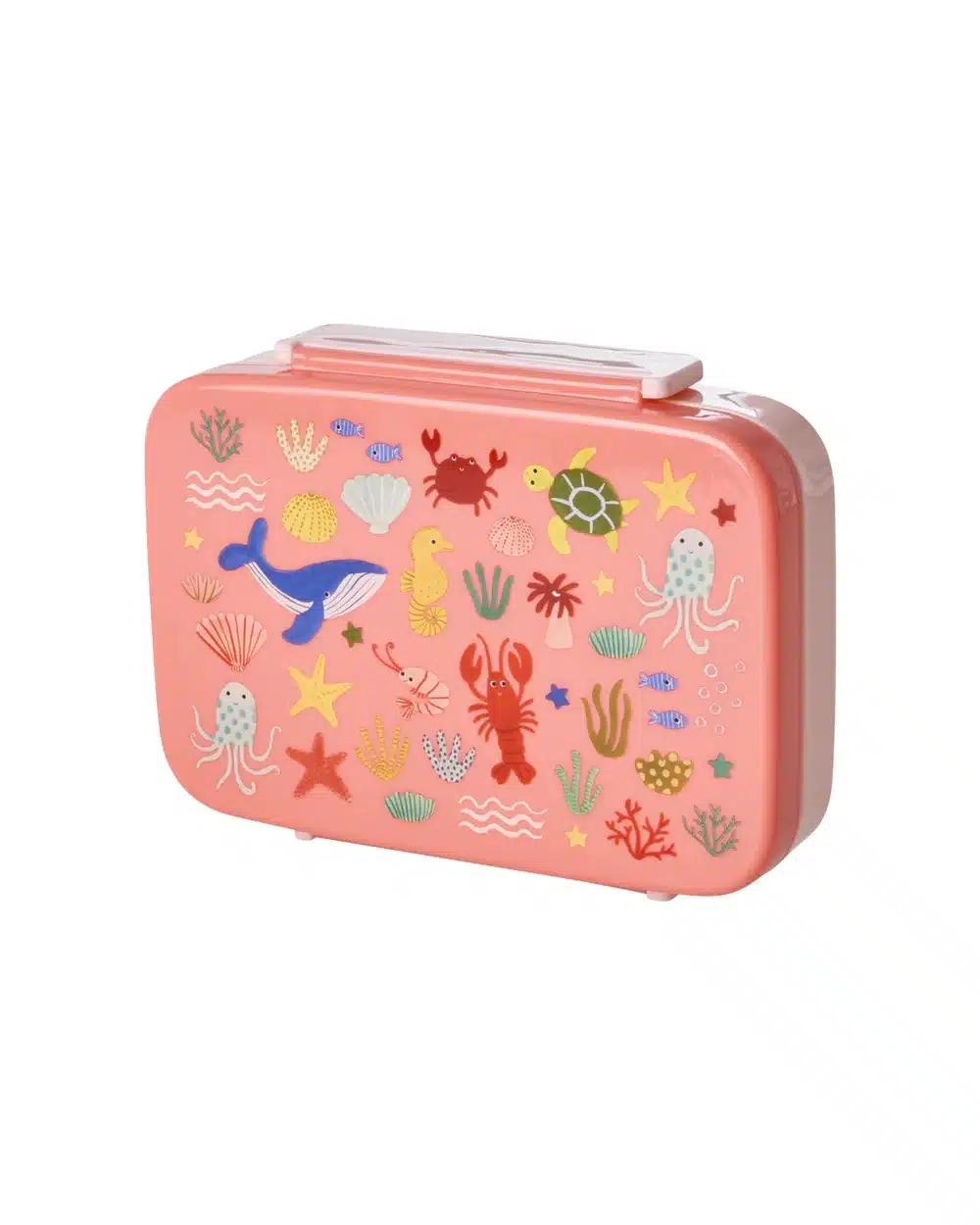 Lunchbox with 6 Rooms - Coral Ocean