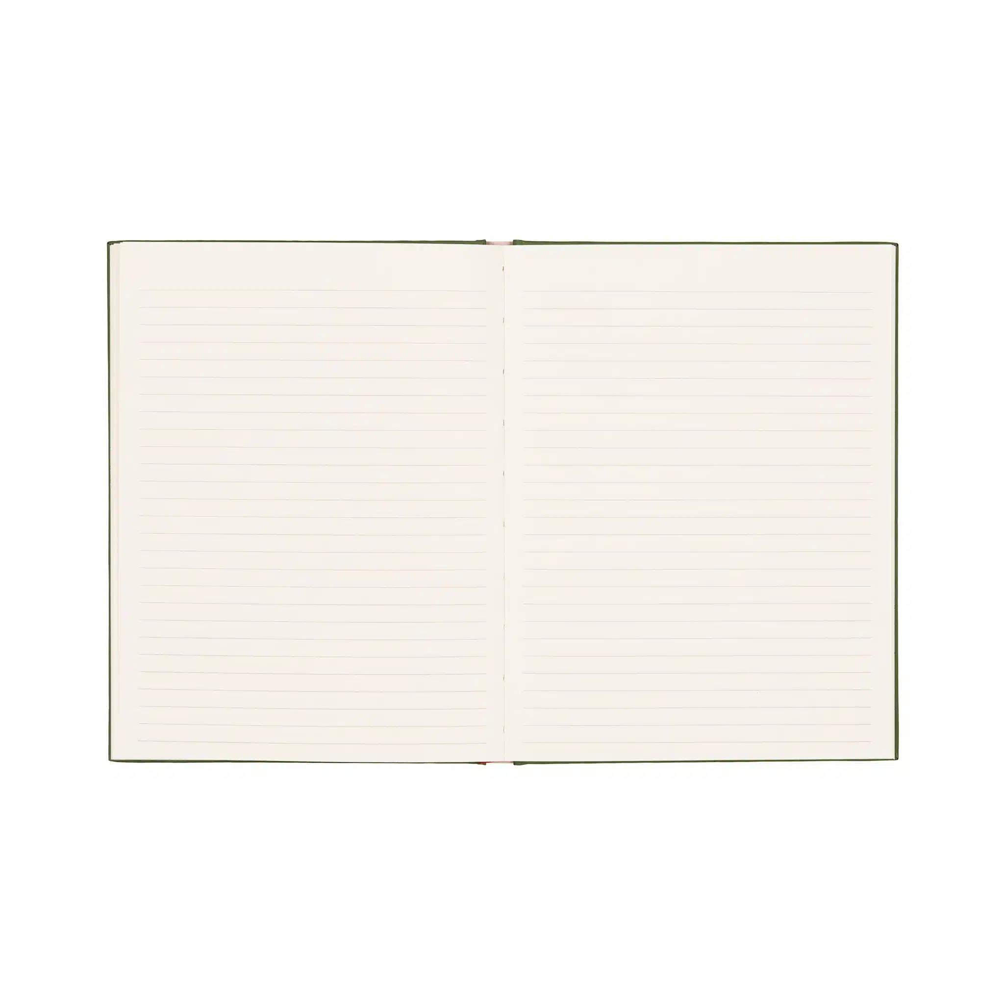 Journal - Palm