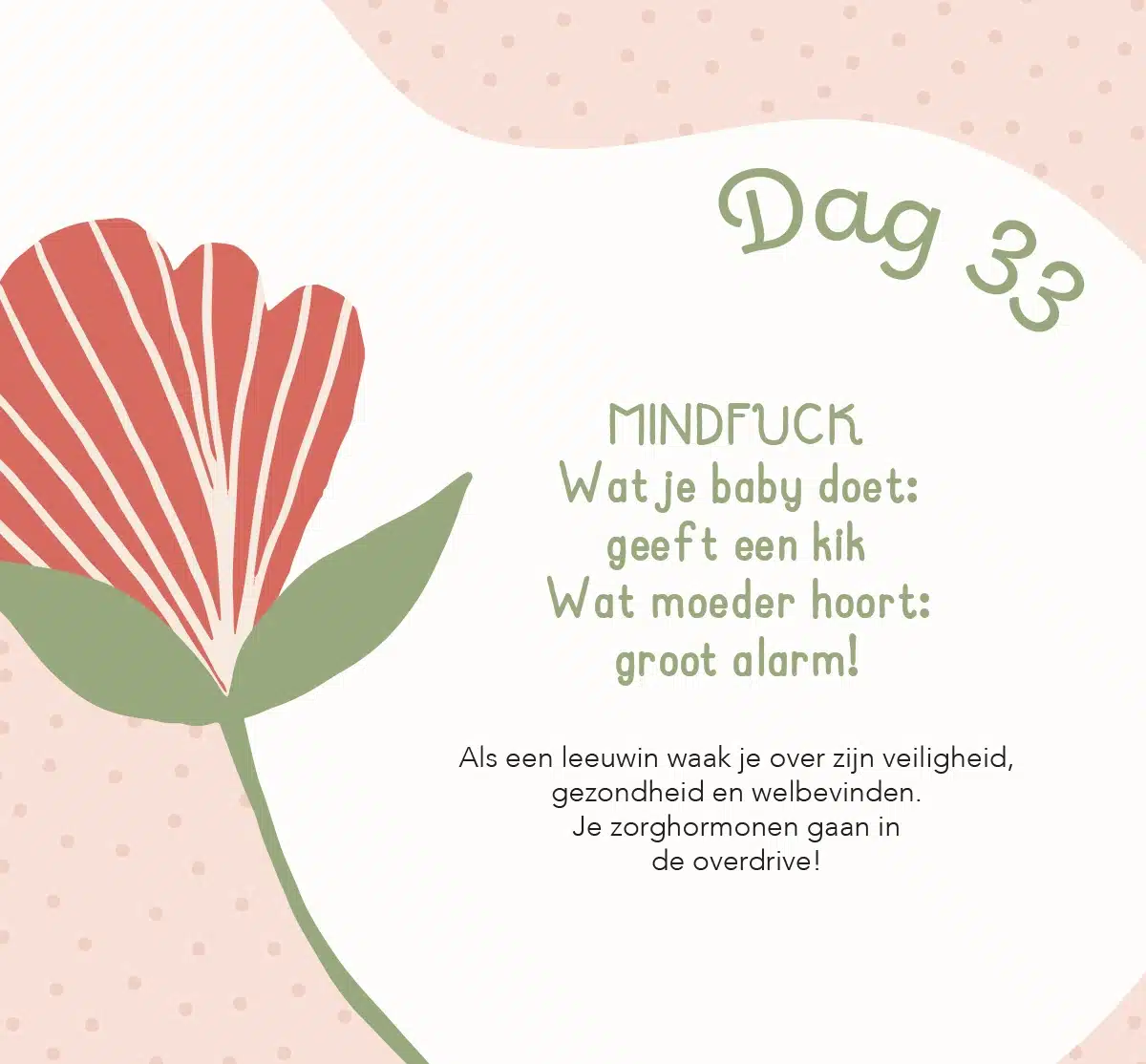 Baby's eerste 100 dagen