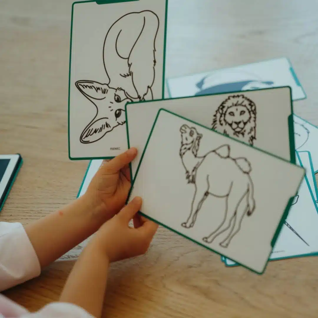 Kidywolf - Kidydraw - Tekenblok Dieren over de hele Wereld